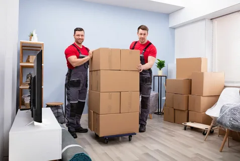 Top 10 Movers in AL Ain - Abu dhabi Packers