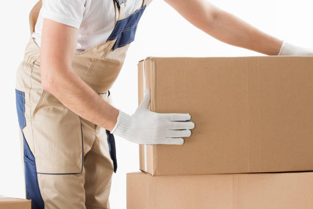 How Much Do Movers and Packers in Dubai Cost?