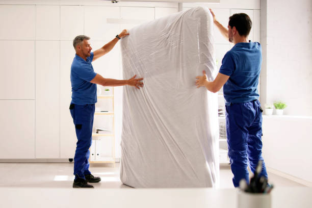 How Much Do Movers and Packers in Dubai Cost?