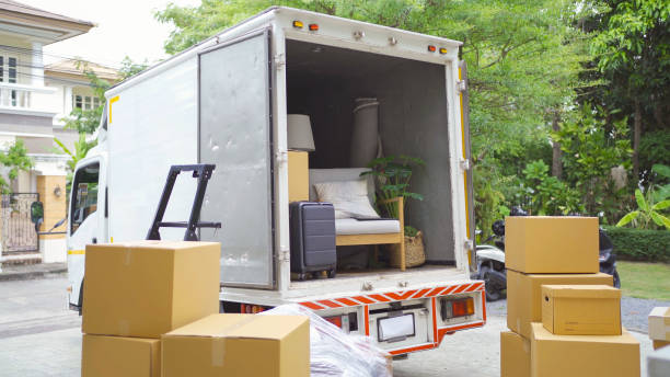 Movers In Palm Jumeirah-Moving Company