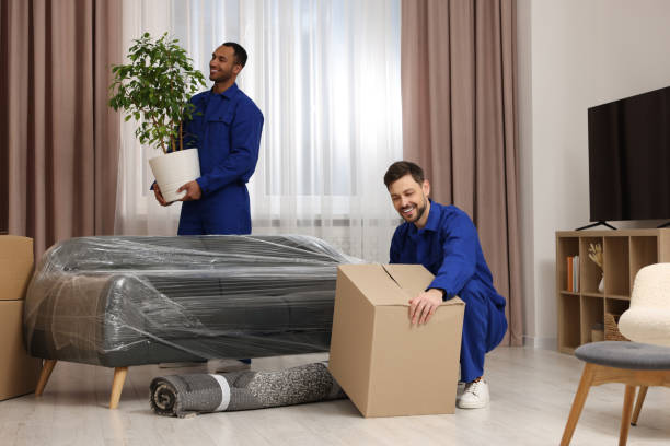 Movers In Palm Jumeirah-Moving Company